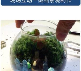 奥迪,奥迪A3,大众,奥迪A4L