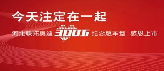 奥迪,奥迪A6L,奥迪A4L,奥迪Q3,奥迪A6