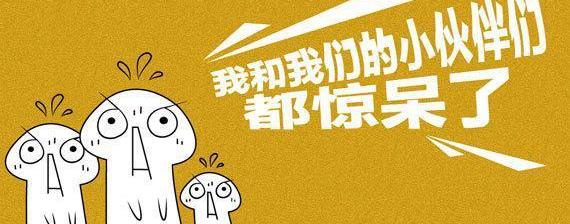 奥迪,奥迪A3,奥迪A8