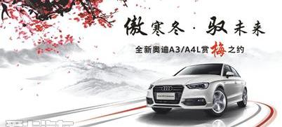 汉,奥迪,奥迪A3