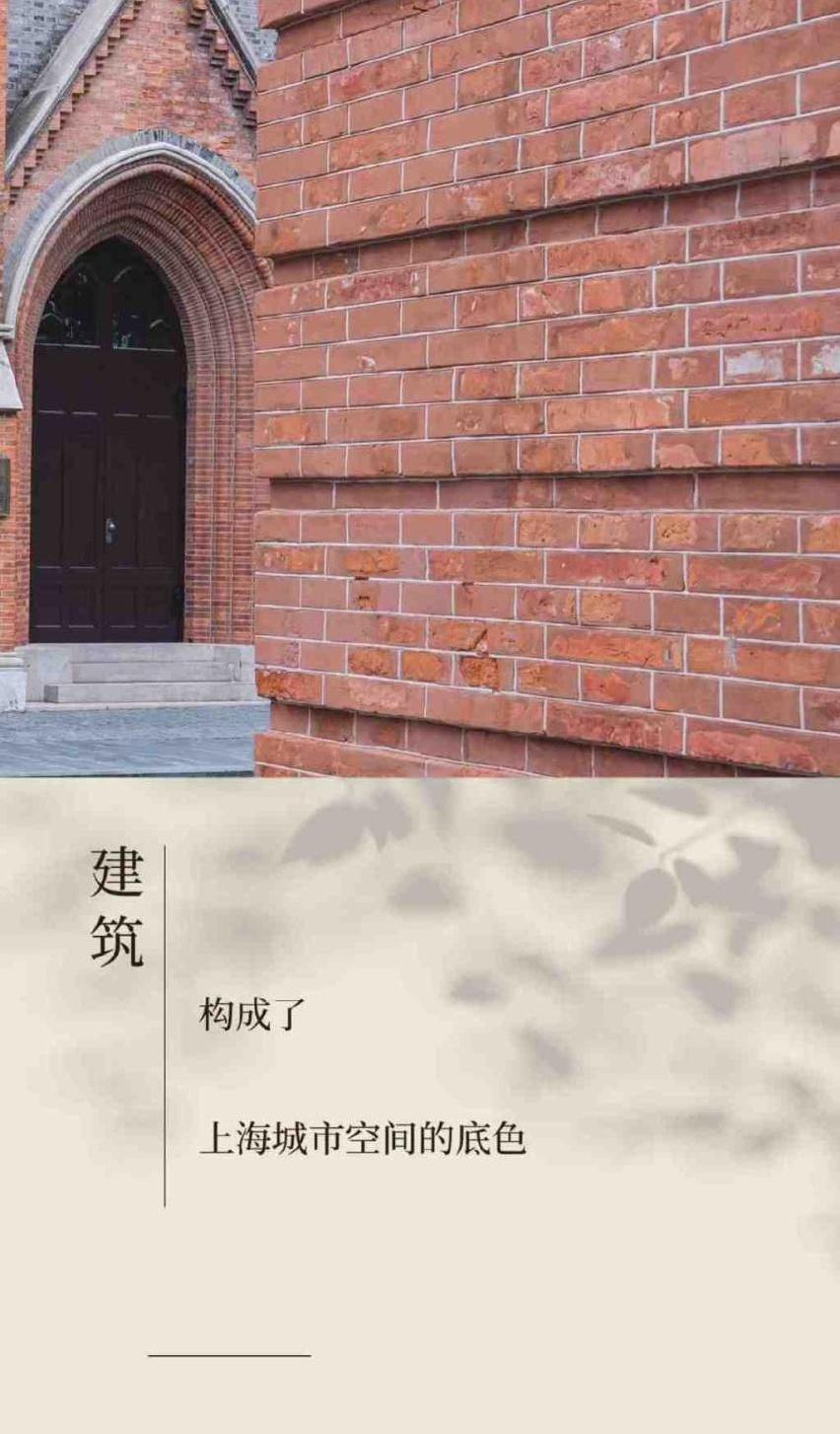 奥迪,奥迪Q6,保时捷,Macan,大众