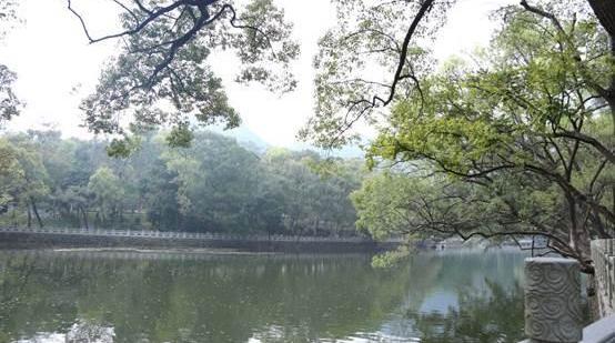 奥迪,奥迪Q7,大众,一汽,欧陆