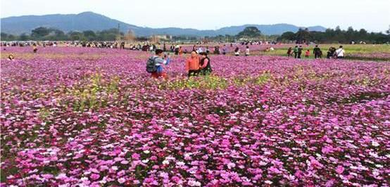 奥迪,奥迪Q7,大众,一汽,欧陆