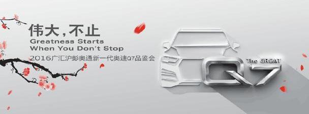 奥迪,奥迪Q7,奔腾