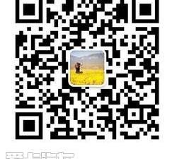 奥迪,奥迪Q7,汉