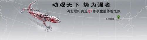 奥迪,奥迪Q7