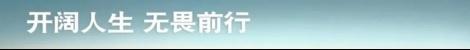 奥迪,奥迪Q7,发现,北京,骆驼