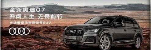 奥迪,奥迪Q7,发现,北京,骆驼