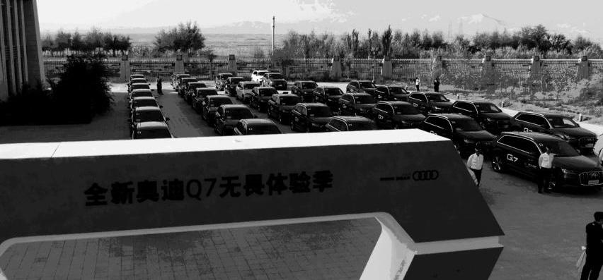 奥迪,奥迪Q7,发现,北京,骆驼