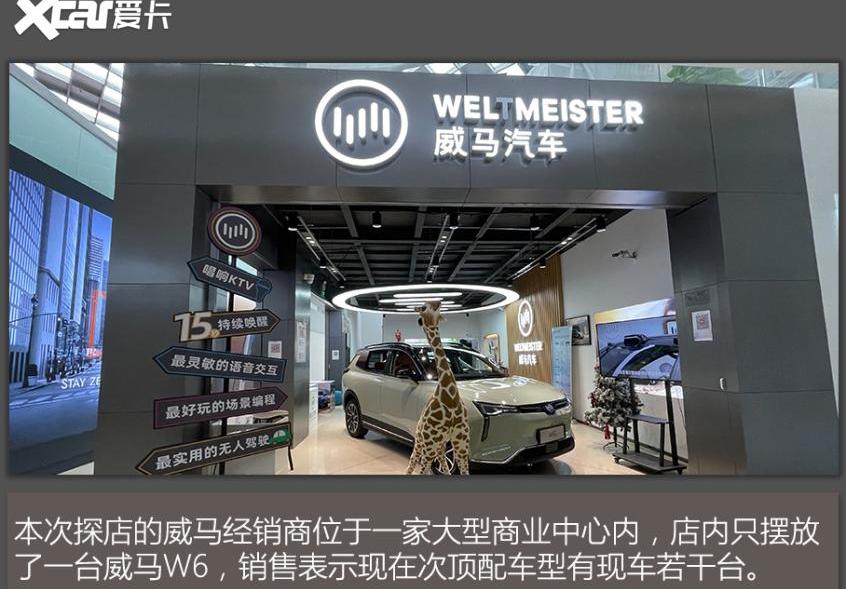 特斯拉,北京,Model 3,Model Y,威马W6
