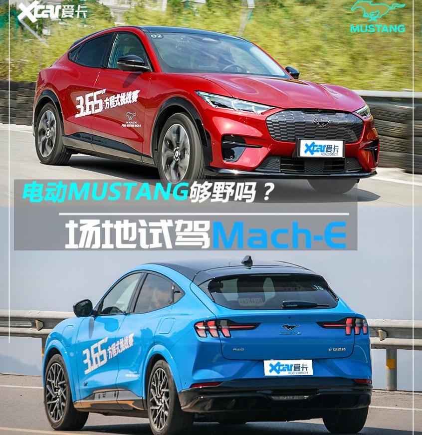 宝马,奥迪,Mustang,福特,大众