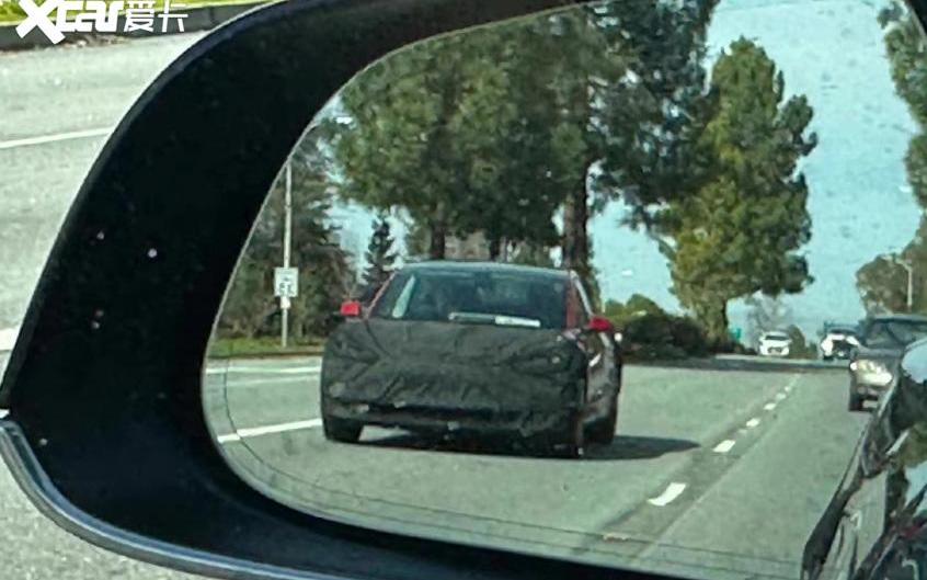 Model 3,特斯拉,Model Y,比亚迪,海豚