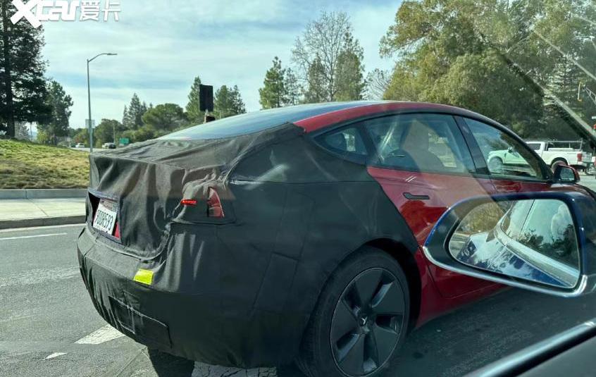 Model 3,特斯拉,Model Y,比亚迪,海豚