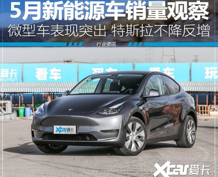 特斯拉,比亚迪,Model Y,理想ONE,MINI