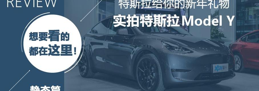 Model Y,特斯拉,Model 3,宝马,大众