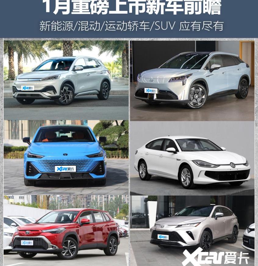 比亚迪,元PLUS,长安,埃安,AION LX