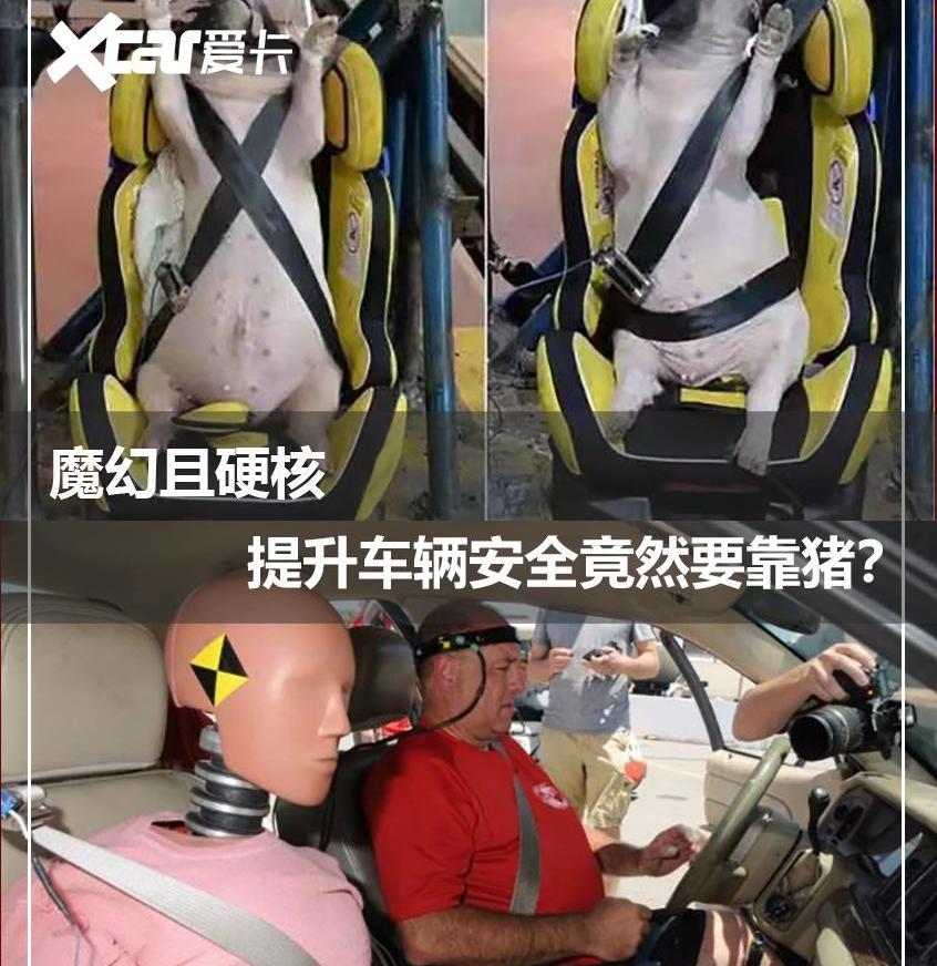 世纪,发现