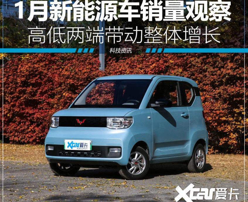 MINI,特斯拉,比亚迪,奇瑞,Model 3