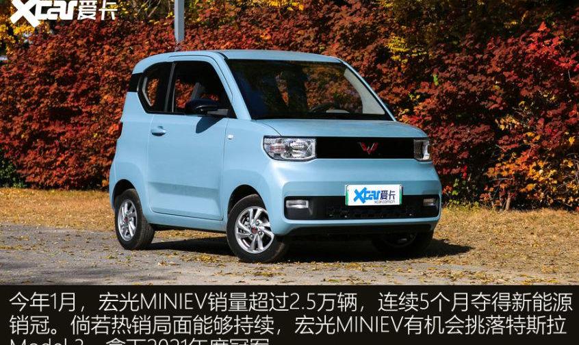 MINI,特斯拉,比亚迪,奇瑞,Model 3