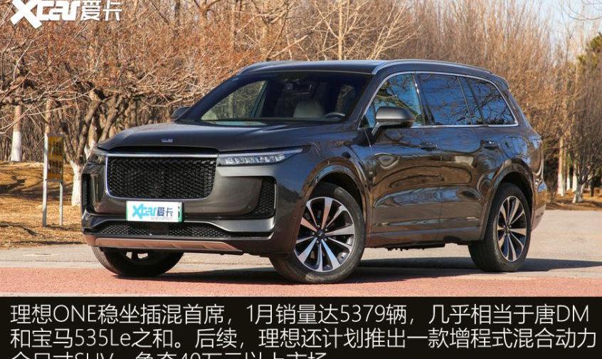 MINI,特斯拉,比亚迪,奇瑞,Model 3