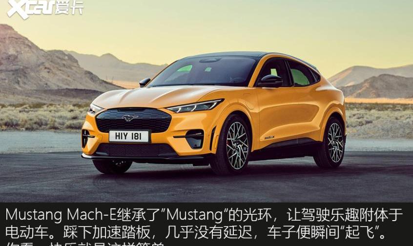 福特,Mustang,宝马,福特F-150,特斯拉