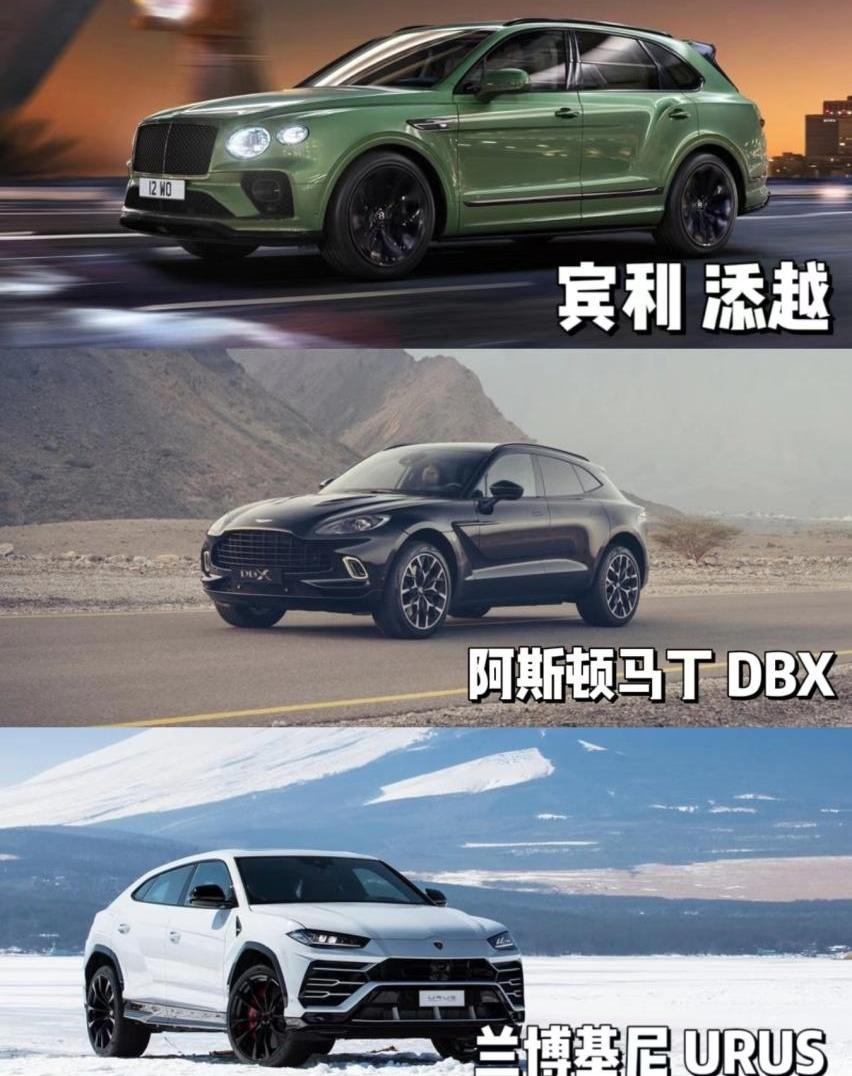添越,宾利,法拉利,库里南,兰博基尼