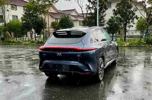 智己L7,阿斯顿·马丁DBX,阿斯顿·马丁,智己LS7