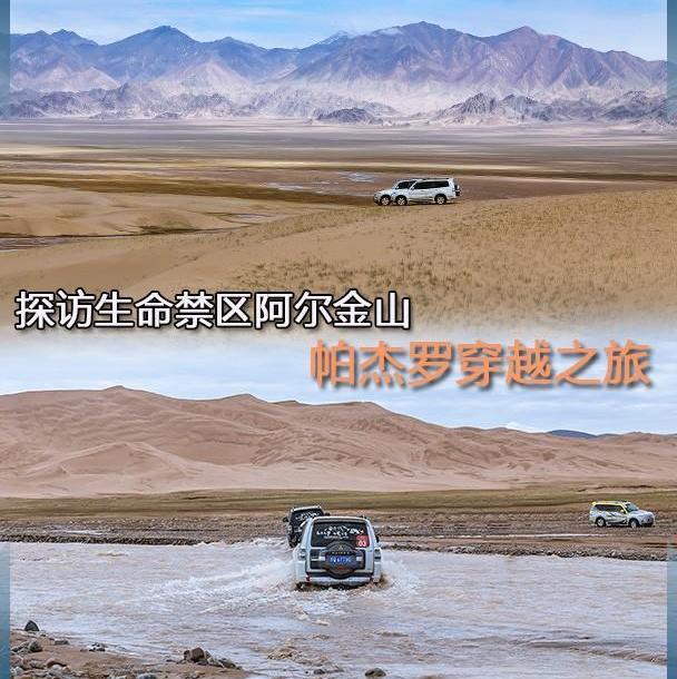 勇士,骆驼,江铃,域虎7,好运
