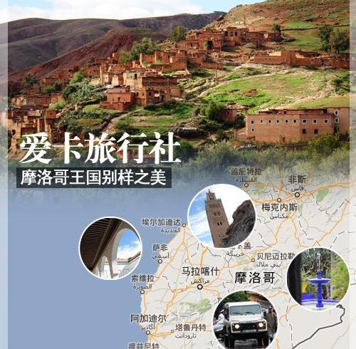 骆驼