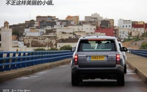 骆驼
