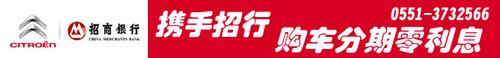 雪铁龙,东风,中兴