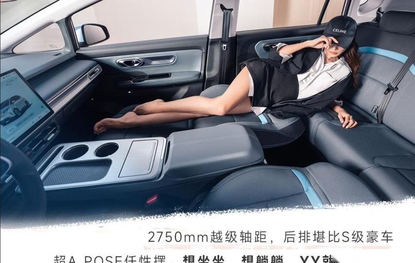 埃安,比亚迪,AION Y,海豚,欧拉好猫