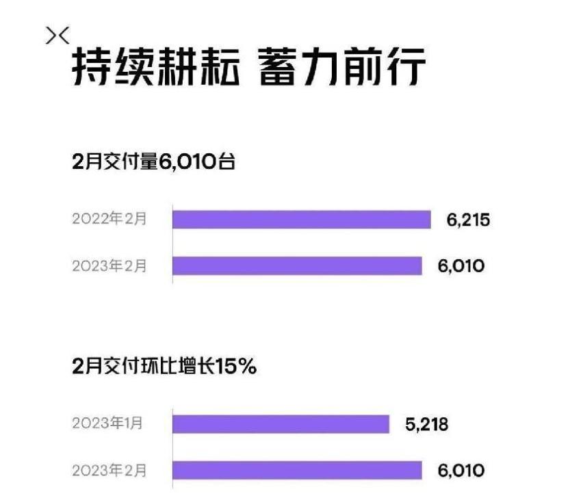 小鹏,蔚来,极氪,埃安,理想汽车