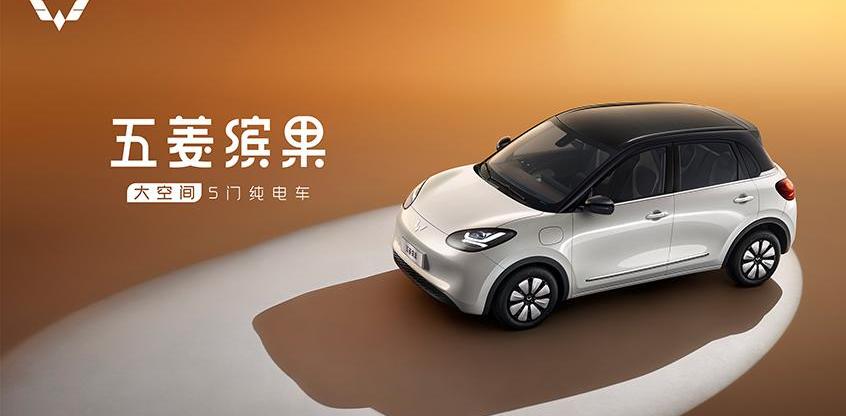 五菱缤果,海豚,零跑T03,哪吒V,欧拉