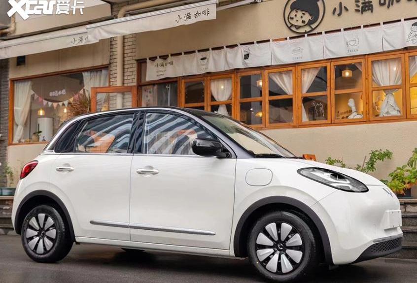 五菱缤果,MINI,宏光MINIEV,海豚,零跑T03