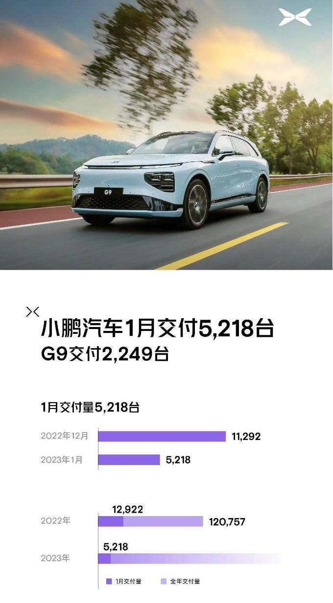 蔚来,小鹏,比亚迪,哪吒汽车,理想汽车