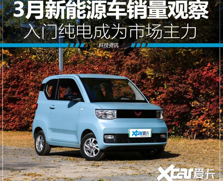 MINI,特斯拉,宏光MINIEV,Model Y,埃安