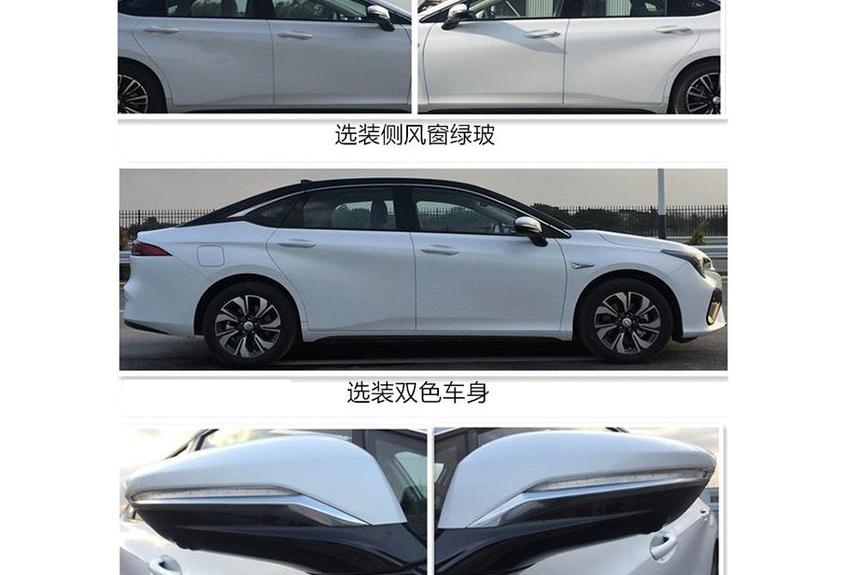 AION S,理念,鲸