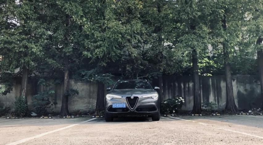 Giulia,宝马,Macan,法拉利,Levante
