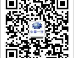 一汽,奔驰,大众,长城,捷豹