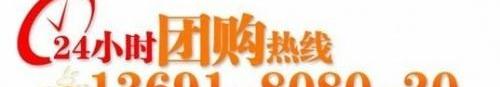 本田,奥德赛,雅阁,飞度,法拉利