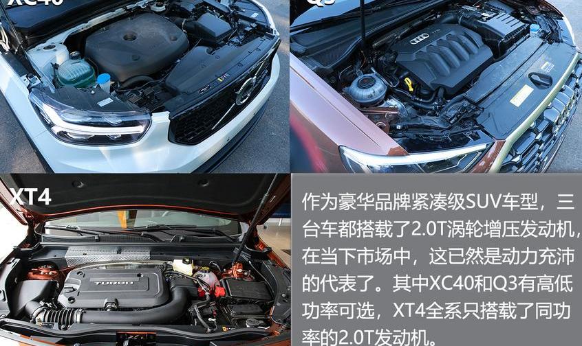 奥迪,沃尔沃,奥迪Q3,大众,凯迪拉克