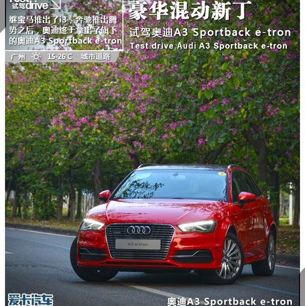 奥迪,腾势,奔驰,宝马,比亚迪