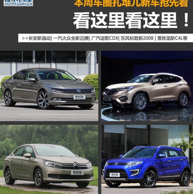 迈腾,大众,一汽,东风,逸动