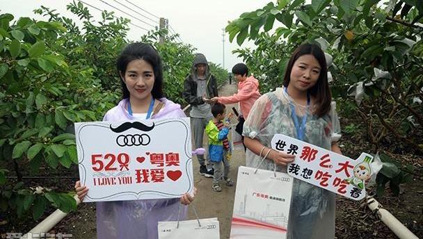 奥迪,奥迪Q3