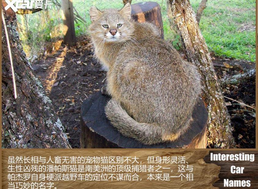 东风小康,东风,三菱,AITO