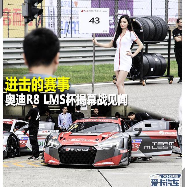 奥迪,奥迪R8