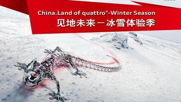 奥迪,大众,理念,一汽,奥迪R8