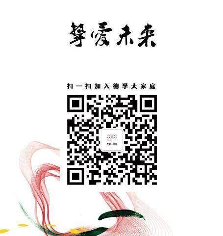 奥迪,大众,理念,一汽,奥迪R8