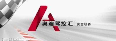 奥迪,奥迪A8,奥迪A5,奥迪A3,奥迪A4L